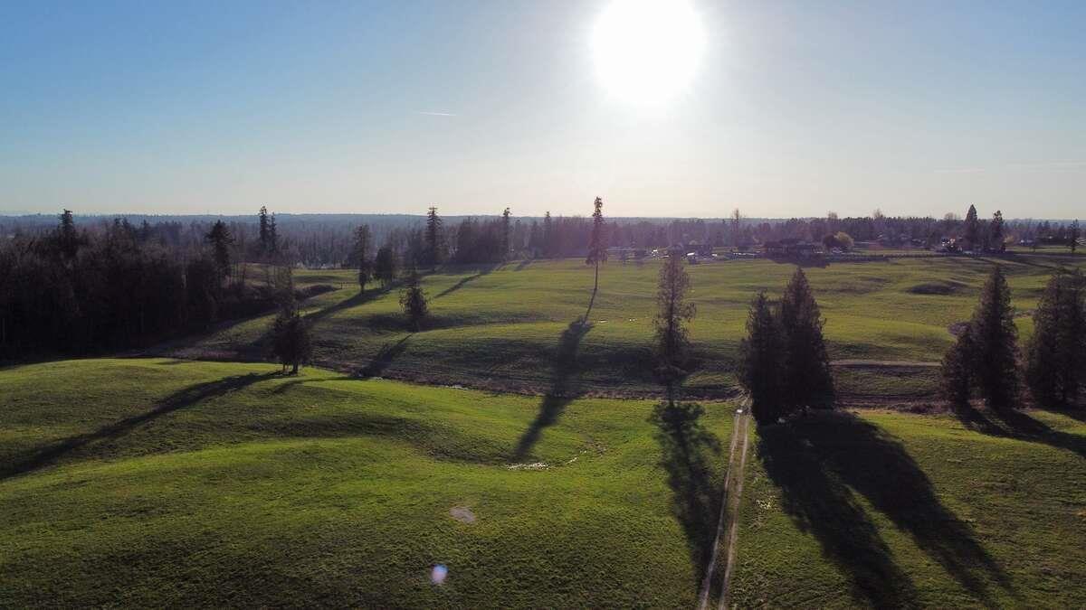 6077 Ross Road, Abbotsford, British Columbia  V4X 1Z1 - Photo 7 - R3082618