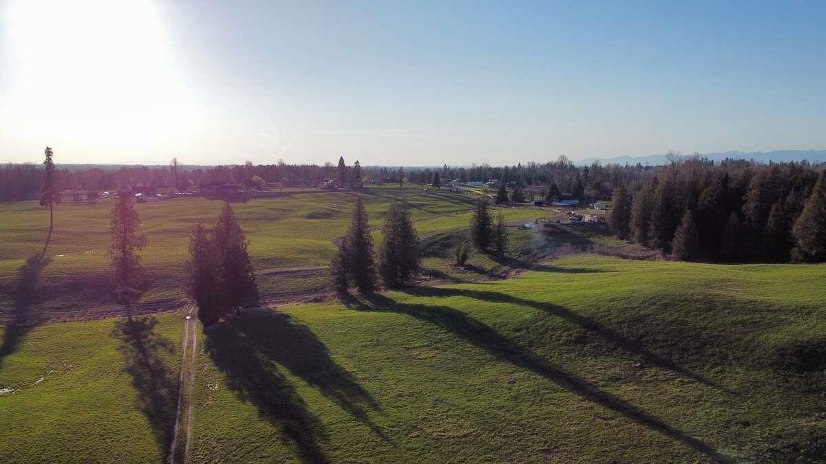 6077 Ross Road, Abbotsford, British Columbia  V4X 1Z1 - Photo 8 - R3082618