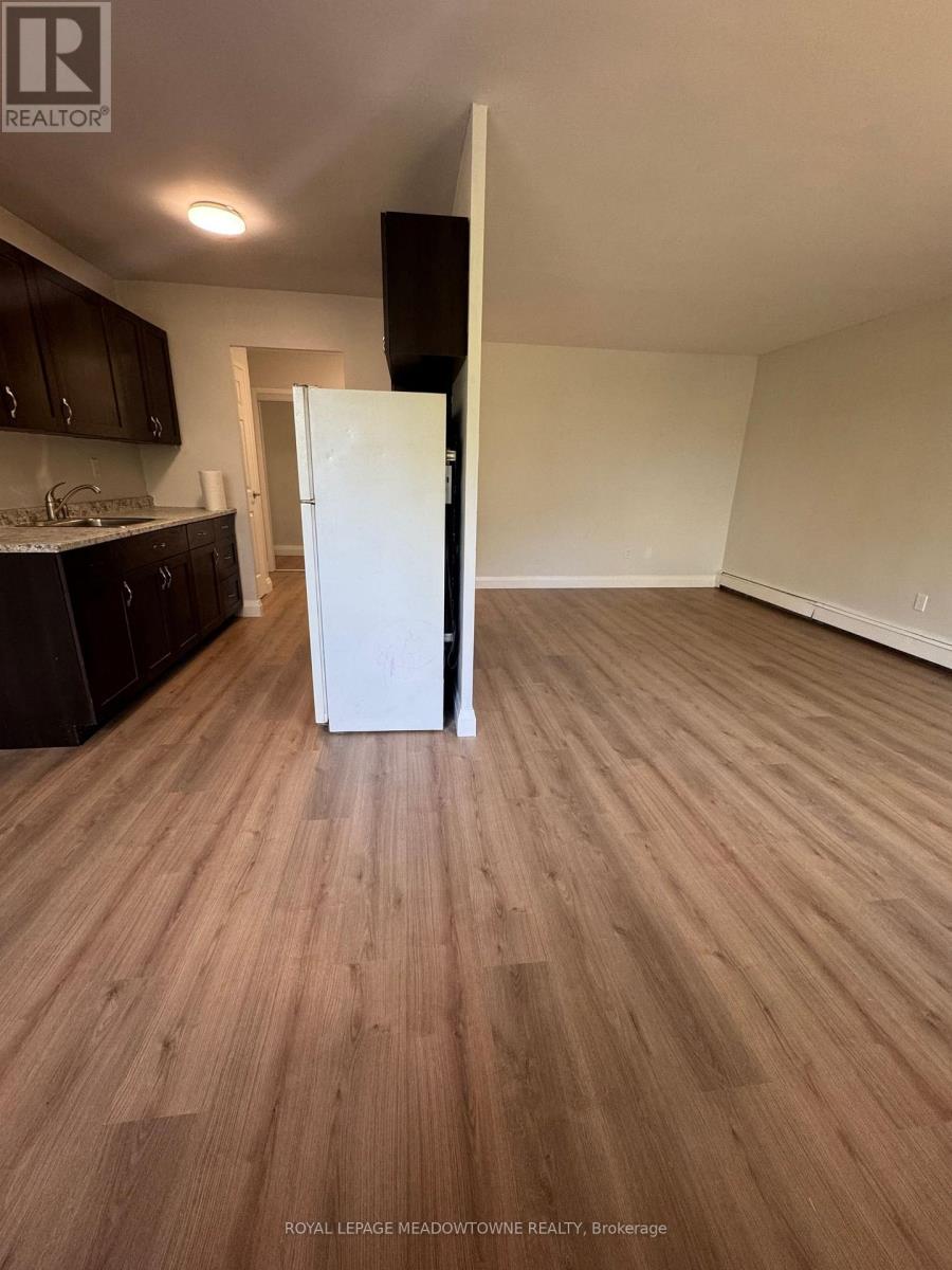 2a - 8 Cherry Street, Halton Hills, Ontario  L7G 3J8 - Photo 4 - W12724922