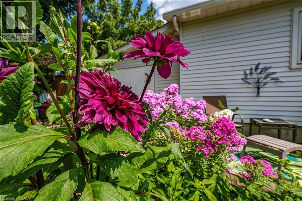 110 Livingston Avenue, Grimsby, Ontario  L3M 1L6 - Photo 35 - 40791886