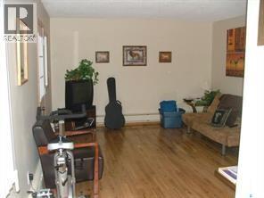 245 3rd Street Ne, Wadena, Saskatchewan  S0A 4J0 - Photo 22 - SK027321