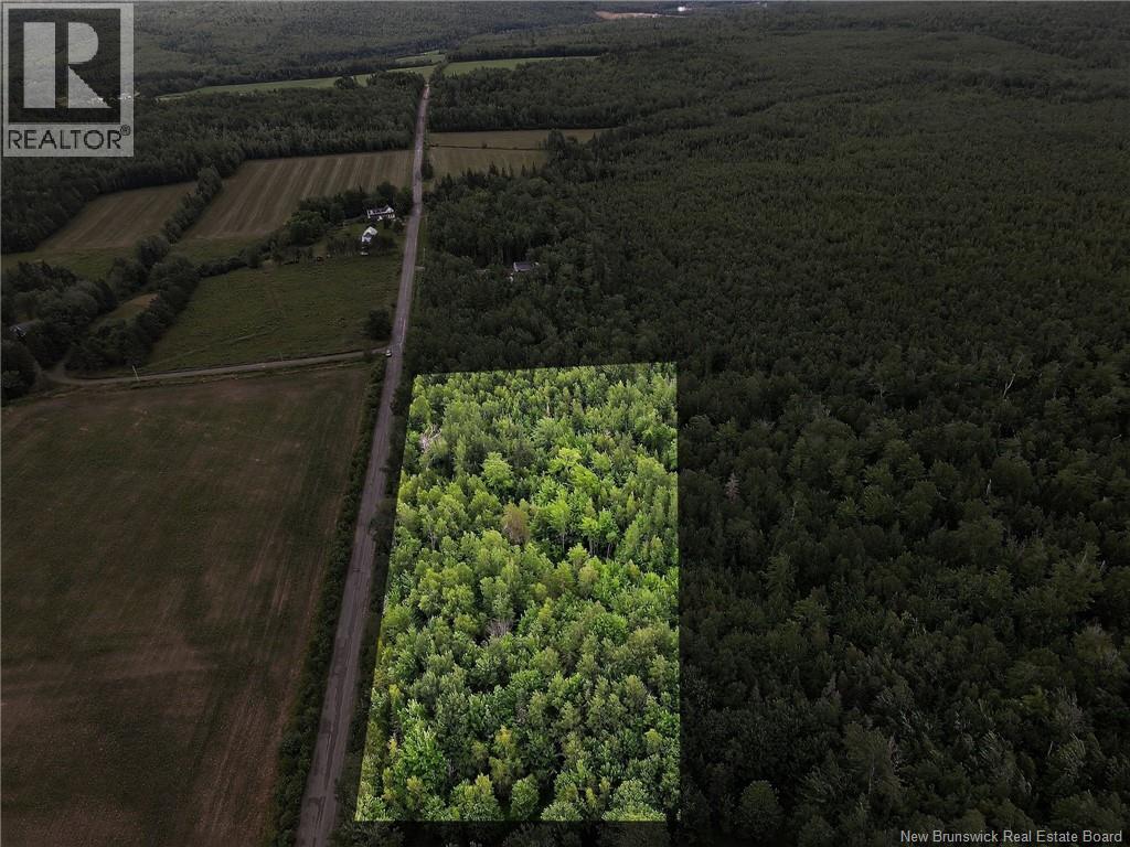 Lot Davis Road, Colpitts Settlement, New Brunswick  E4J 1B8 - Photo 1 - NB132654