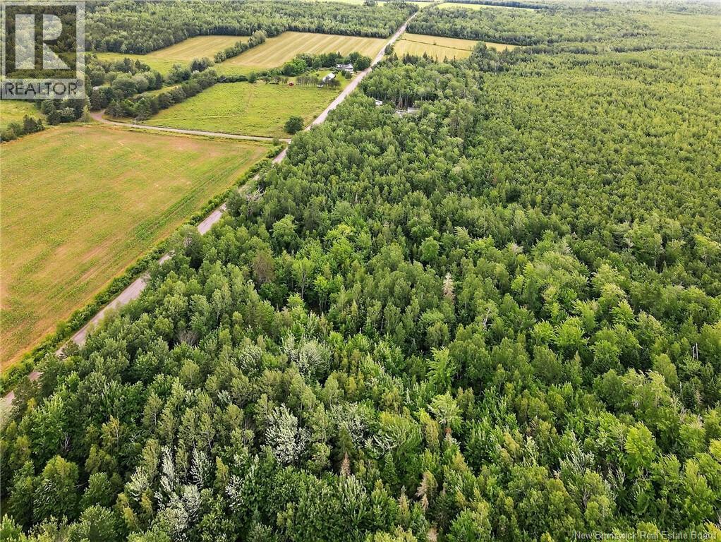 Lot Davis Road, Colpitts Settlement, New Brunswick  E4J 1B8 - Photo 10 - NB132654