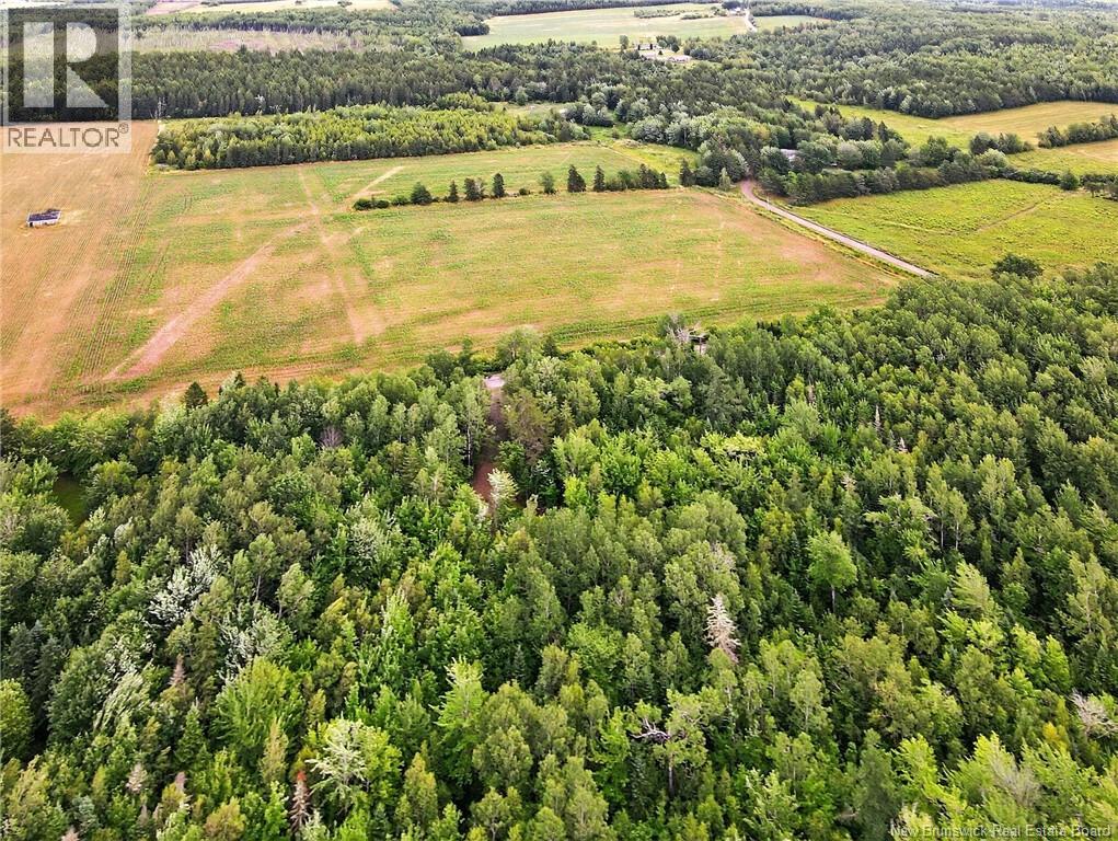 Lot Davis Road, Colpitts Settlement, New Brunswick  E4J 1B8 - Photo 12 - NB132654