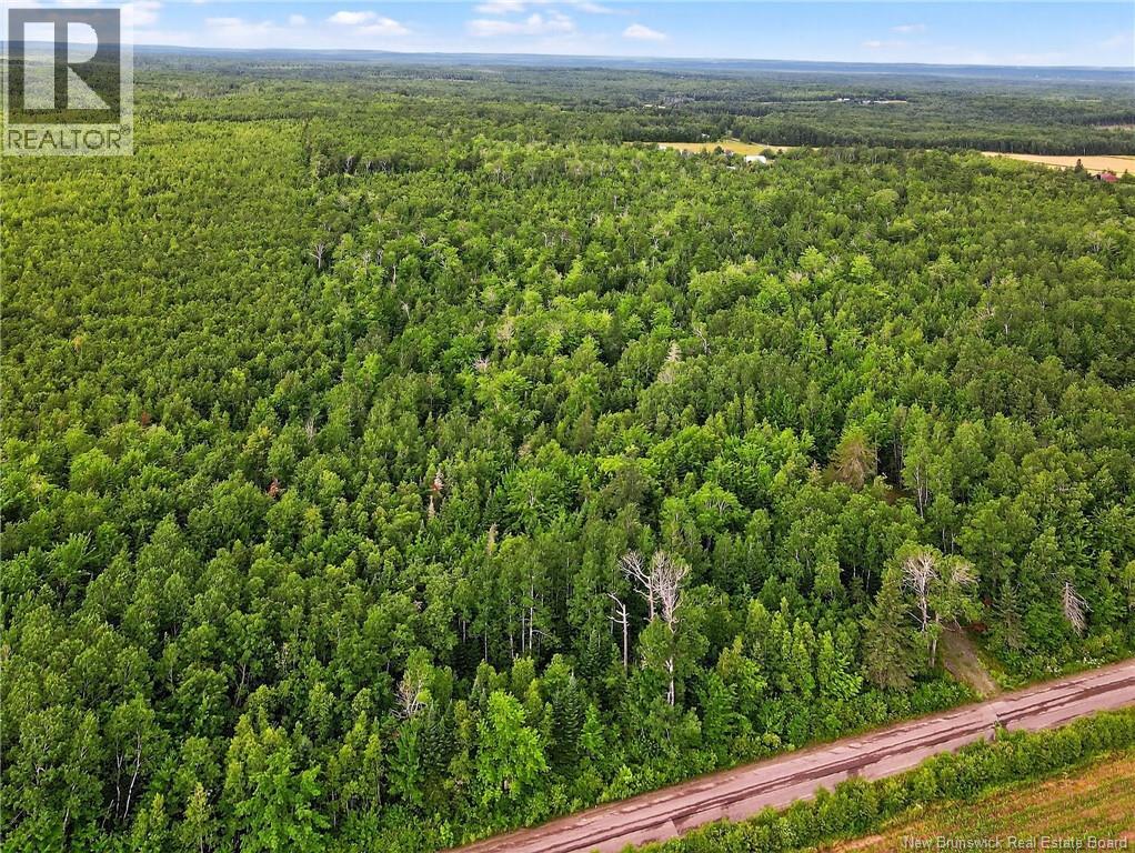 Lot Davis Road, Colpitts Settlement, New Brunswick  E4J 1B8 - Photo 3 - NB132654