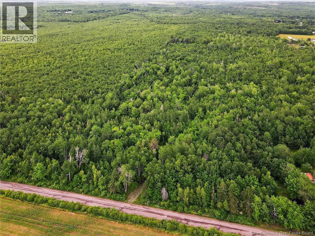 Lot Davis Road, Colpitts Settlement, New Brunswick  E4J 1B8 - Photo 6 - NB132654