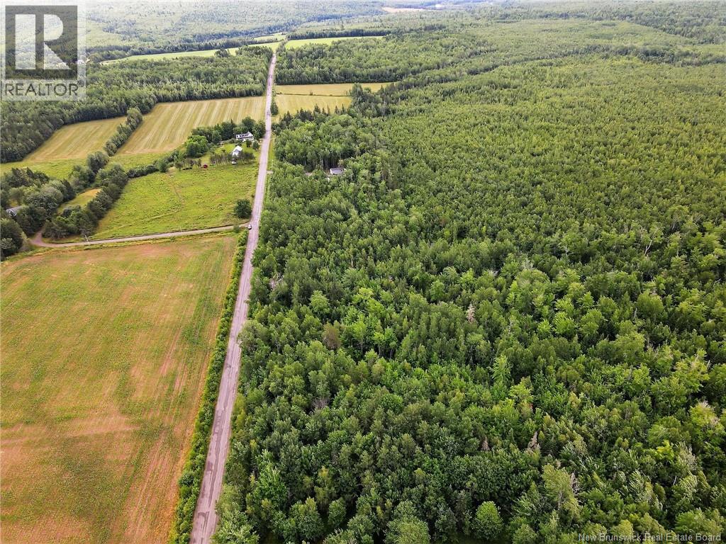 Lot Davis Road, Colpitts Settlement, New Brunswick  E4J 1B8 - Photo 9 - NB132654