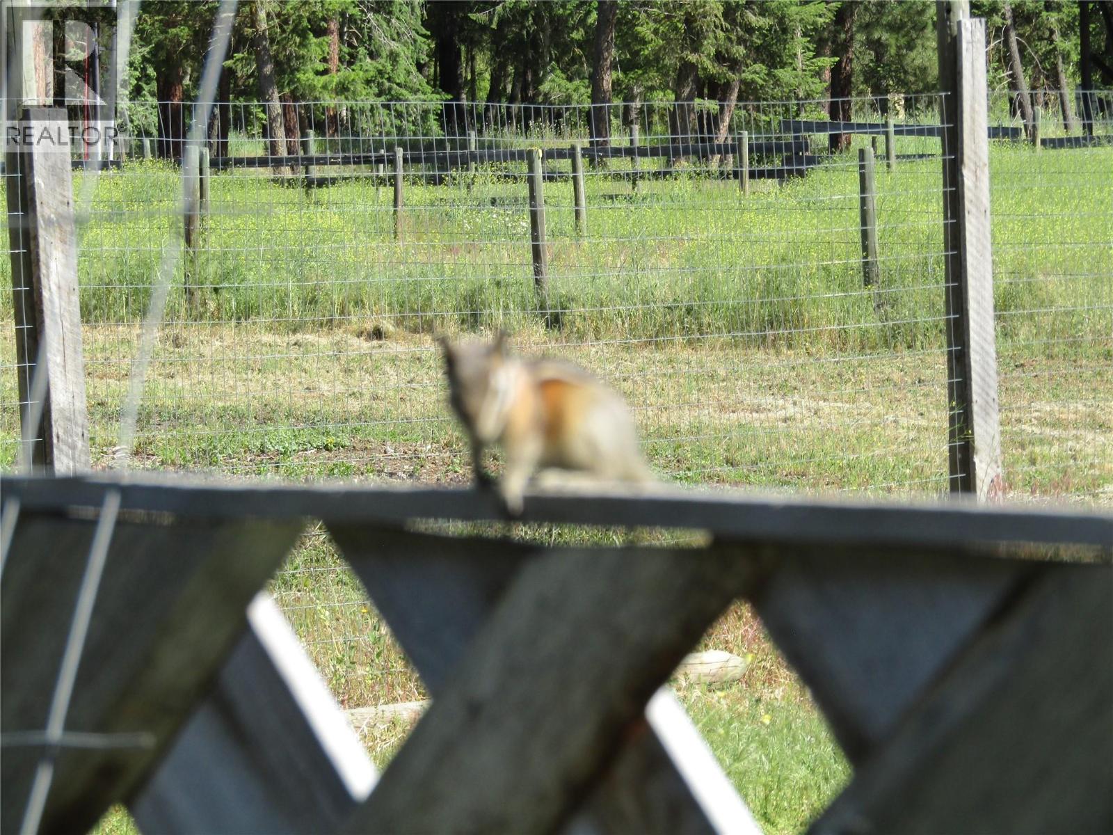 3260 Christian Valley Road, Westbridge, British Columbia  V0H 1Y0 - Photo 10 - 10373564