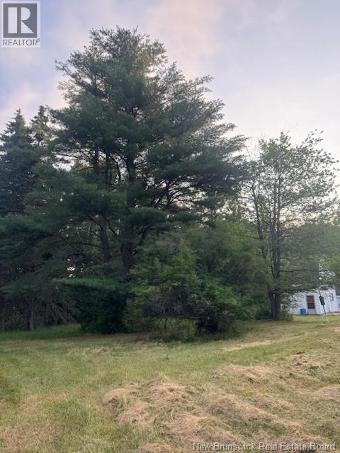 195 Morton Road, Wheaton Settlement, New Brunswick  E4Z 3V1 - Photo 2 - NB132655