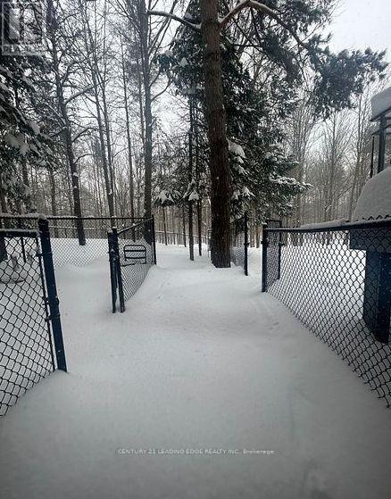 Lower - 18 Loggers Trail, Whitchurch-Stouffville, Ontario  L3Y 4W1 - Photo 7 - N12725100