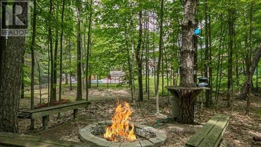 Upper - 18 Loggers Trail, Whitchurch-Stouffville, Ontario  L3Y 4W1 - Photo 8 - N12725104