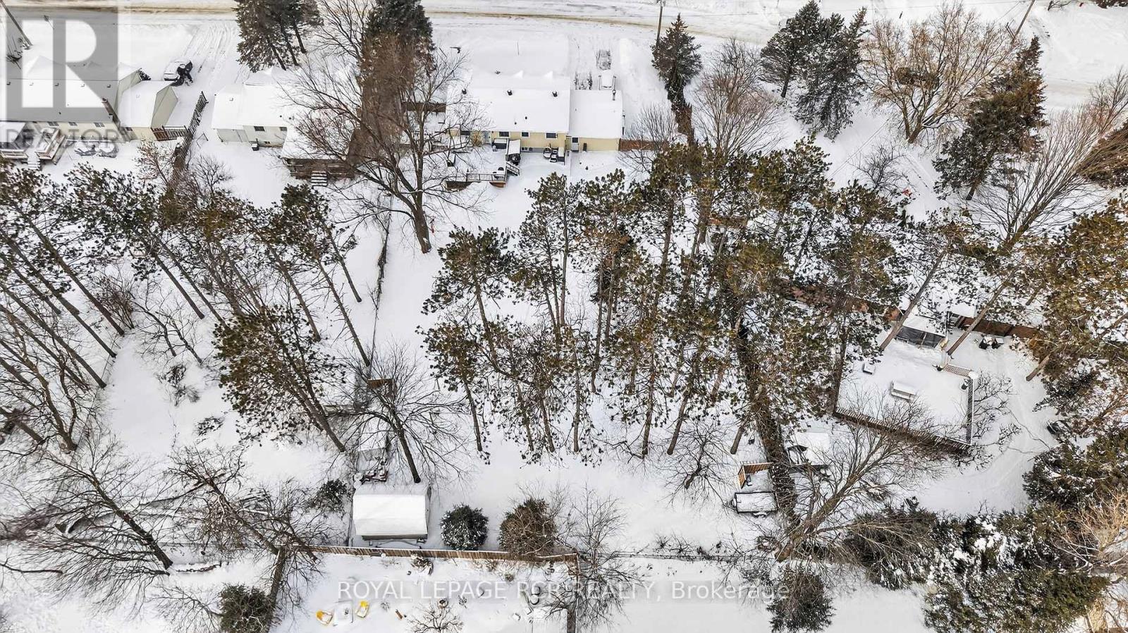 17 Pine Park Boulevard, Adjala-Tosorontio, Ontario  L0M 1J0 - Photo 47 - N12518222