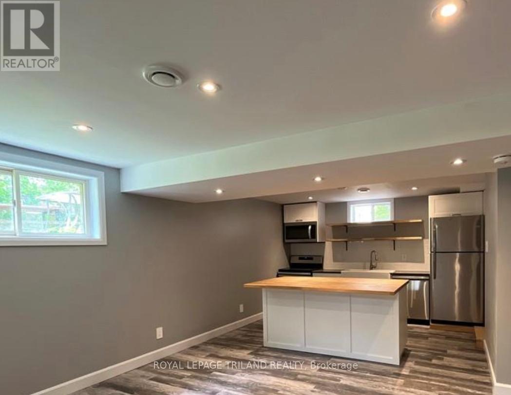 Lower - 527 Hale Street, London East, Ontario  N5W 1G9 - Photo 2 - X12725474