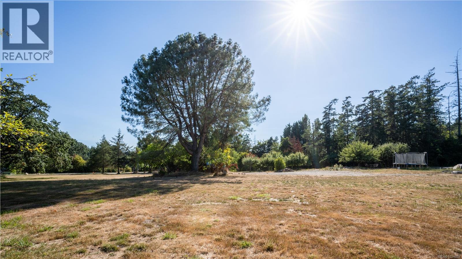 816 Birch Rd, North Saanich, British Columbia  V8L 5S1 - Photo 7 - 1024029