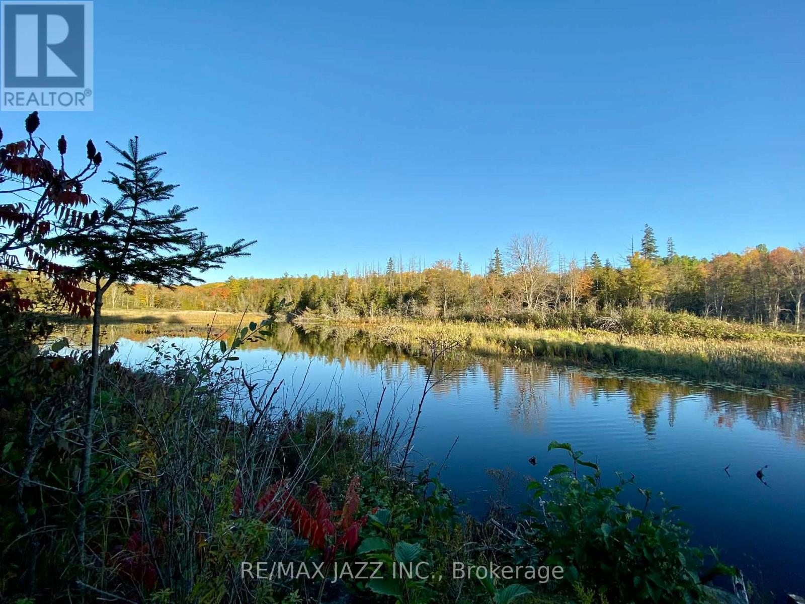 22 Elizabeth Court, Limerick, Ontario  K0L 1W0 - Photo 25 - X12723390