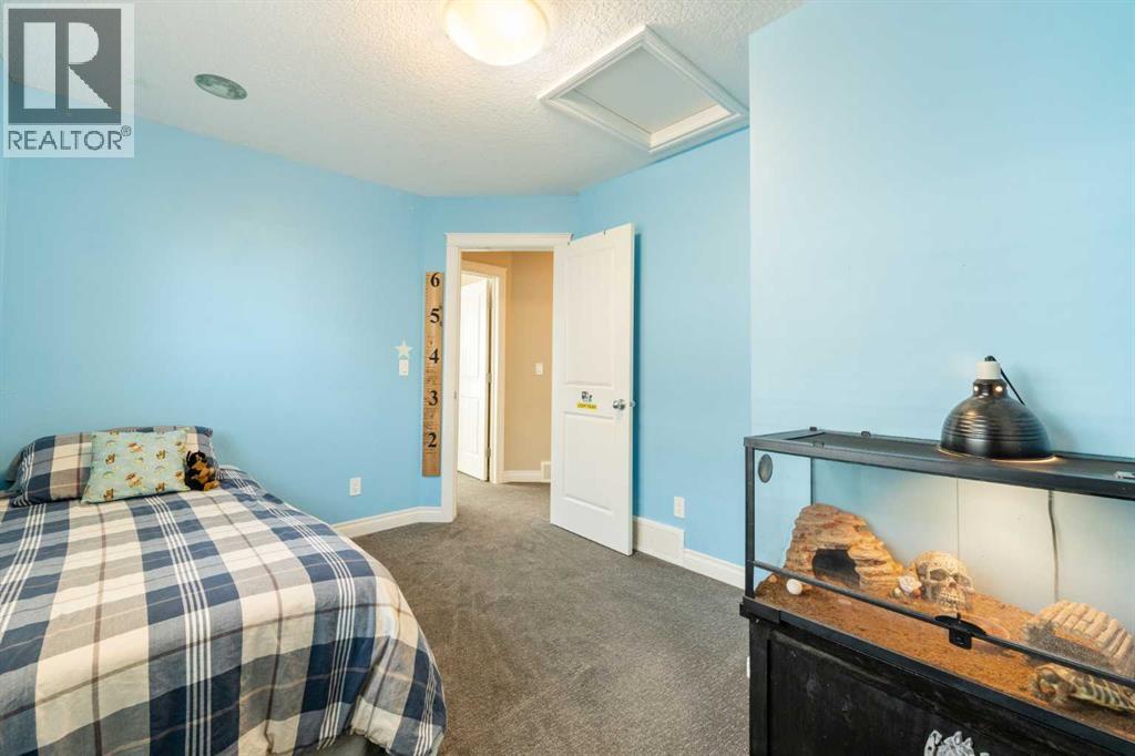 719 Hampton Hills Drive Ne, High River, Alberta  T1V 0E6 - Photo 22 - A2270997