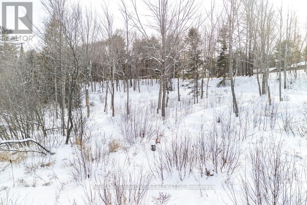 88 Lance Road, Laurentian Hills, Ontario K0J 1P0 - Photo 12 - X12725442