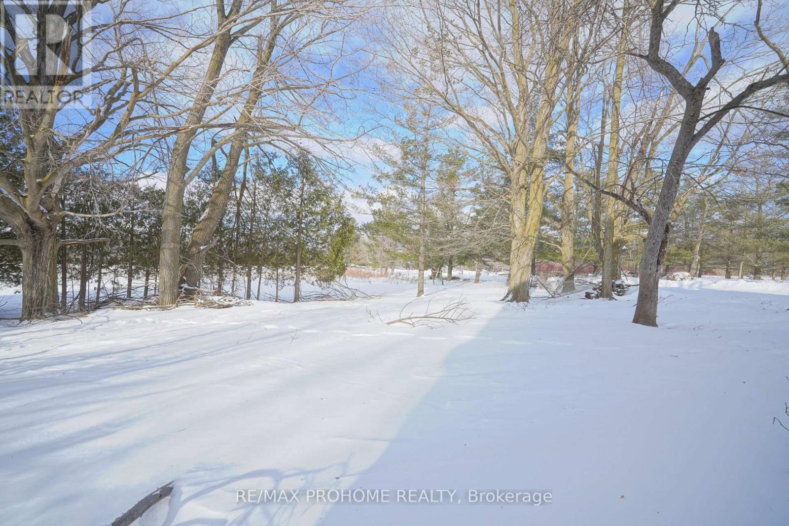 3869 7th Line, Innisfil, Ontario  L9S 3M4 - Photo 35 - N12722792