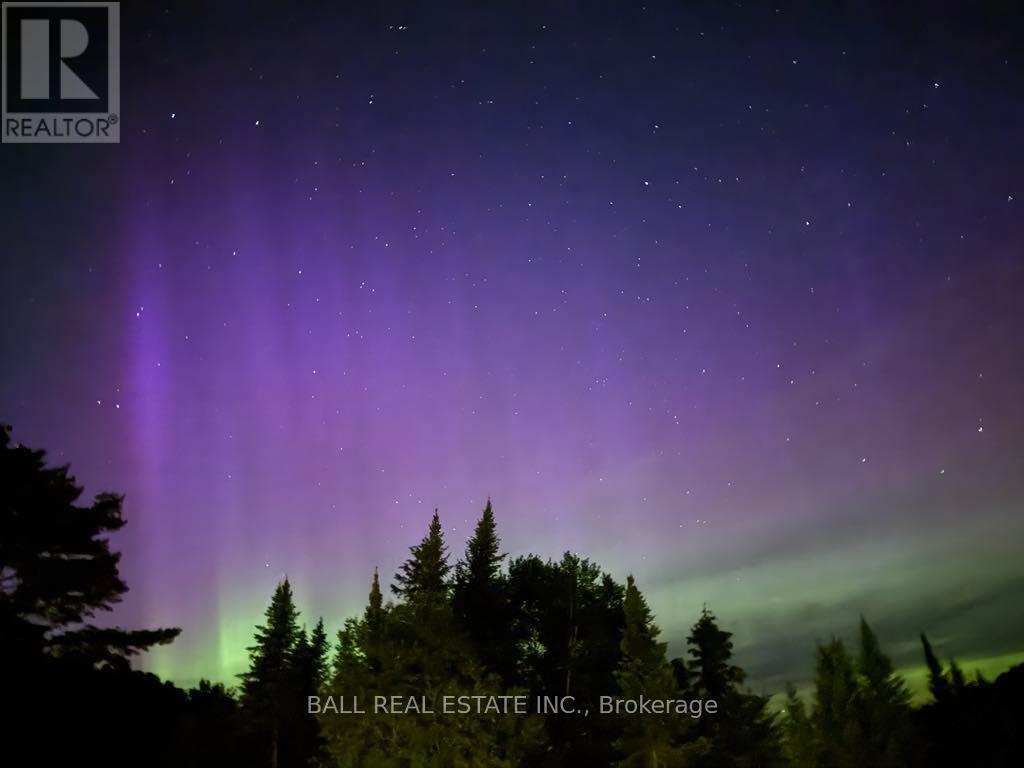 146 Buck Hill Road, Hastings Highlands, Ontario  K0L 1C0 - Photo 37 - X12724894