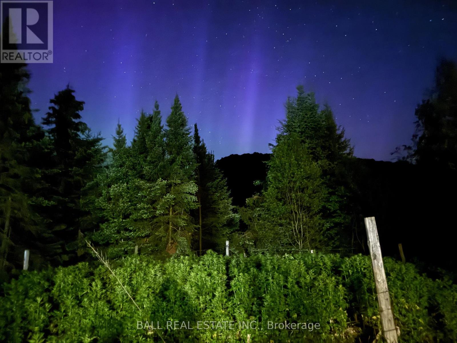 146 Buck Hill Road, Hastings Highlands, Ontario  K0L 1C0 - Photo 41 - X12724894