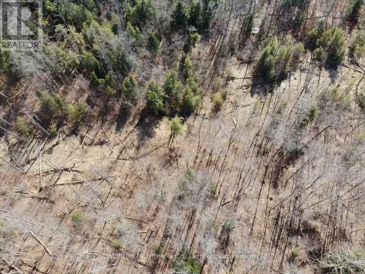 Pt Lt 31 Con 3 Tower Line, Central Huron, Ontario  N0M 1G0 - Photo 15 - X12725596