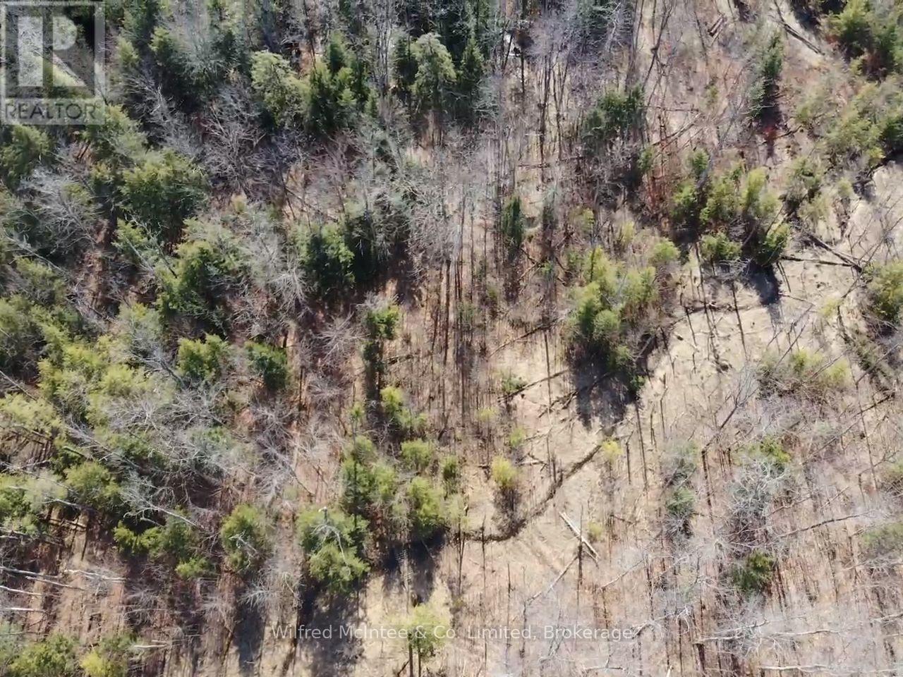 Pt Lt 31 Con 3 Tower Line, Central Huron, Ontario  N0M 1G0 - Photo 17 - X12725596