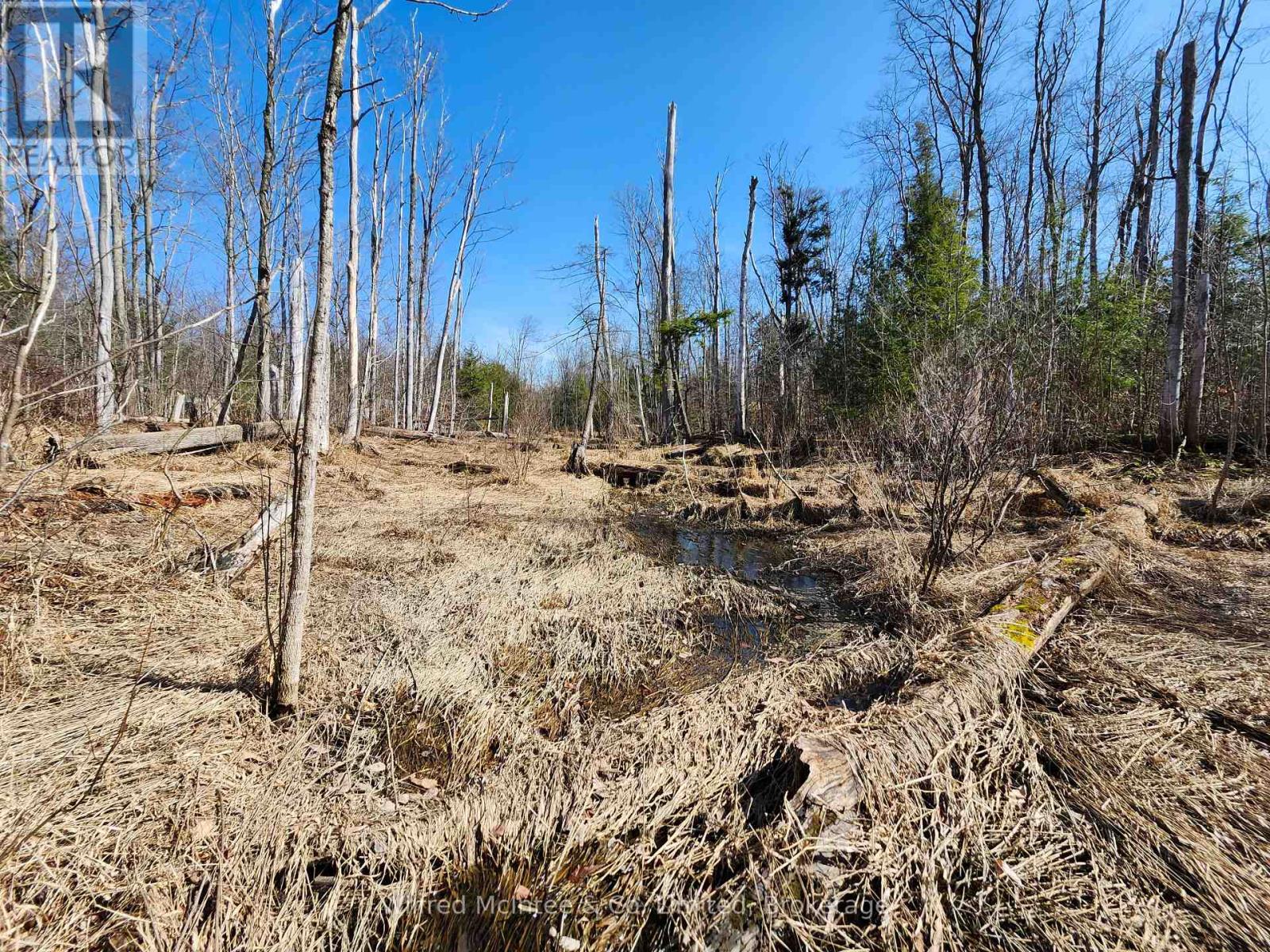 Pt Lt 31 Con 3 Tower Line, Central Huron, Ontario  N0M 1G0 - Photo 3 - X12725596