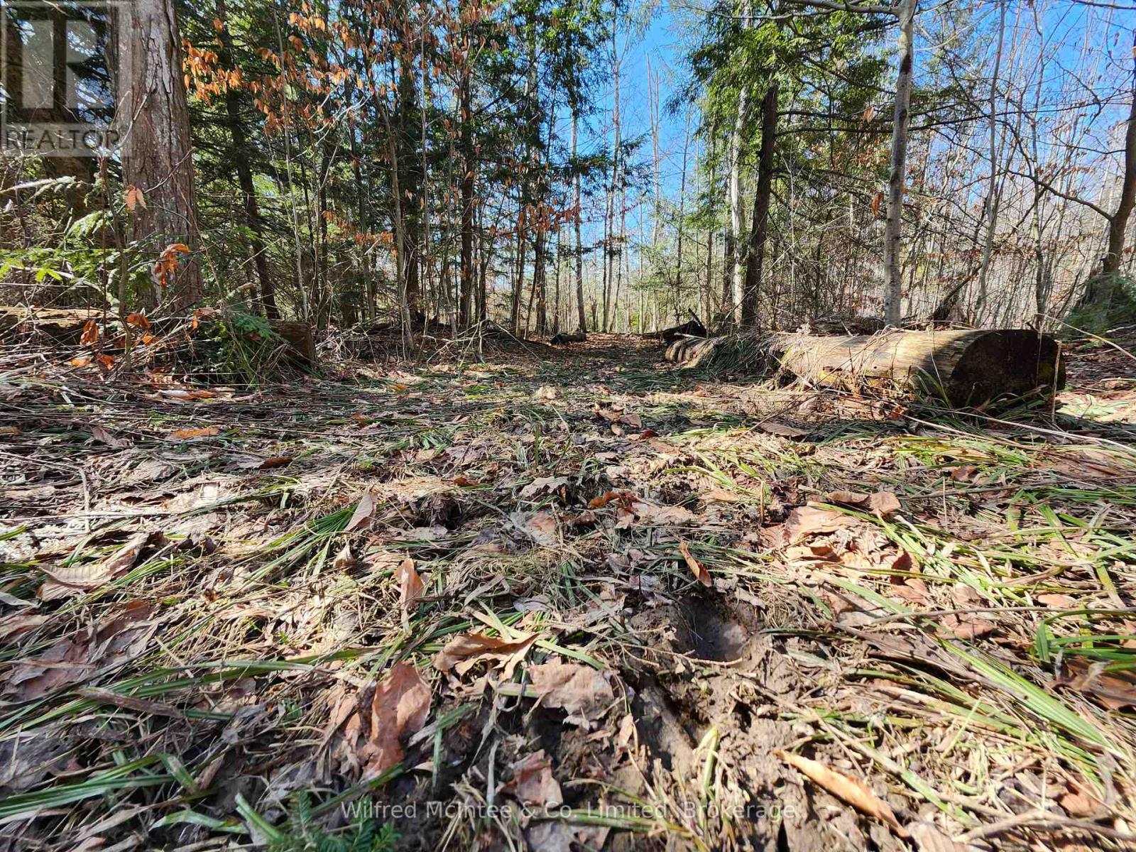 Pt Lt 31 Con 3 Tower Line, Central Huron, Ontario  N0M 1G0 - Photo 4 - X12725596