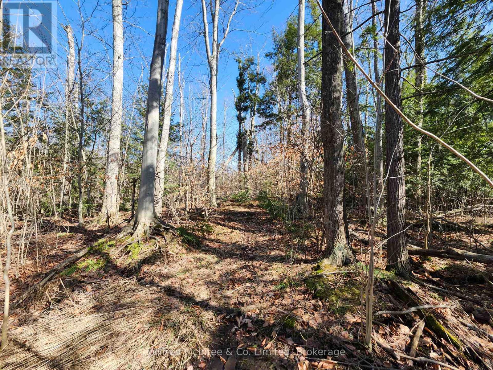 Pt Lt 31 Con 3 Tower Line, Central Huron, Ontario  N0M 1G0 - Photo 5 - X12725596