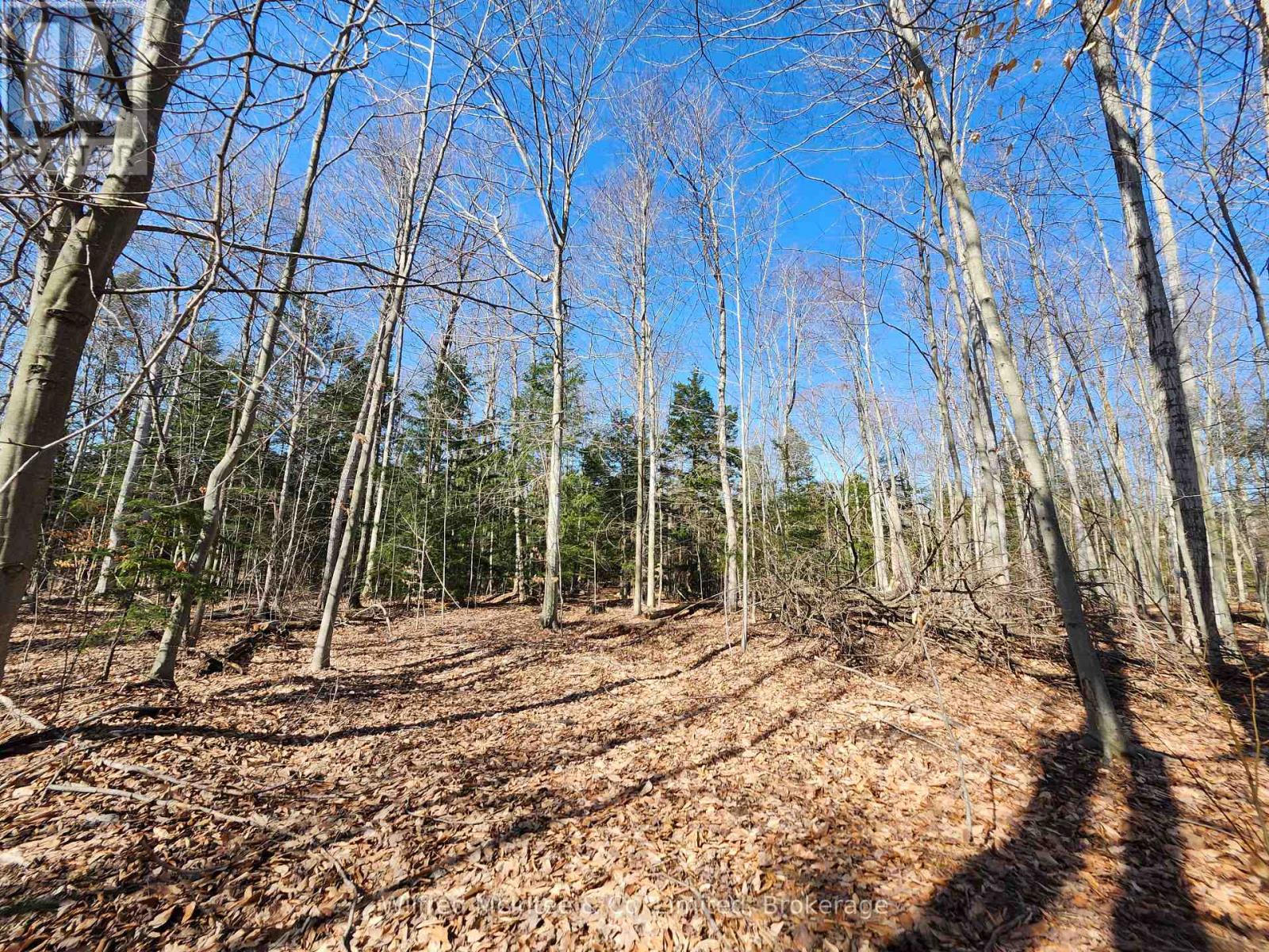 Pt Lt 31 Con 3 Tower Line, Central Huron, Ontario  N0M 1G0 - Photo 9 - X12725596