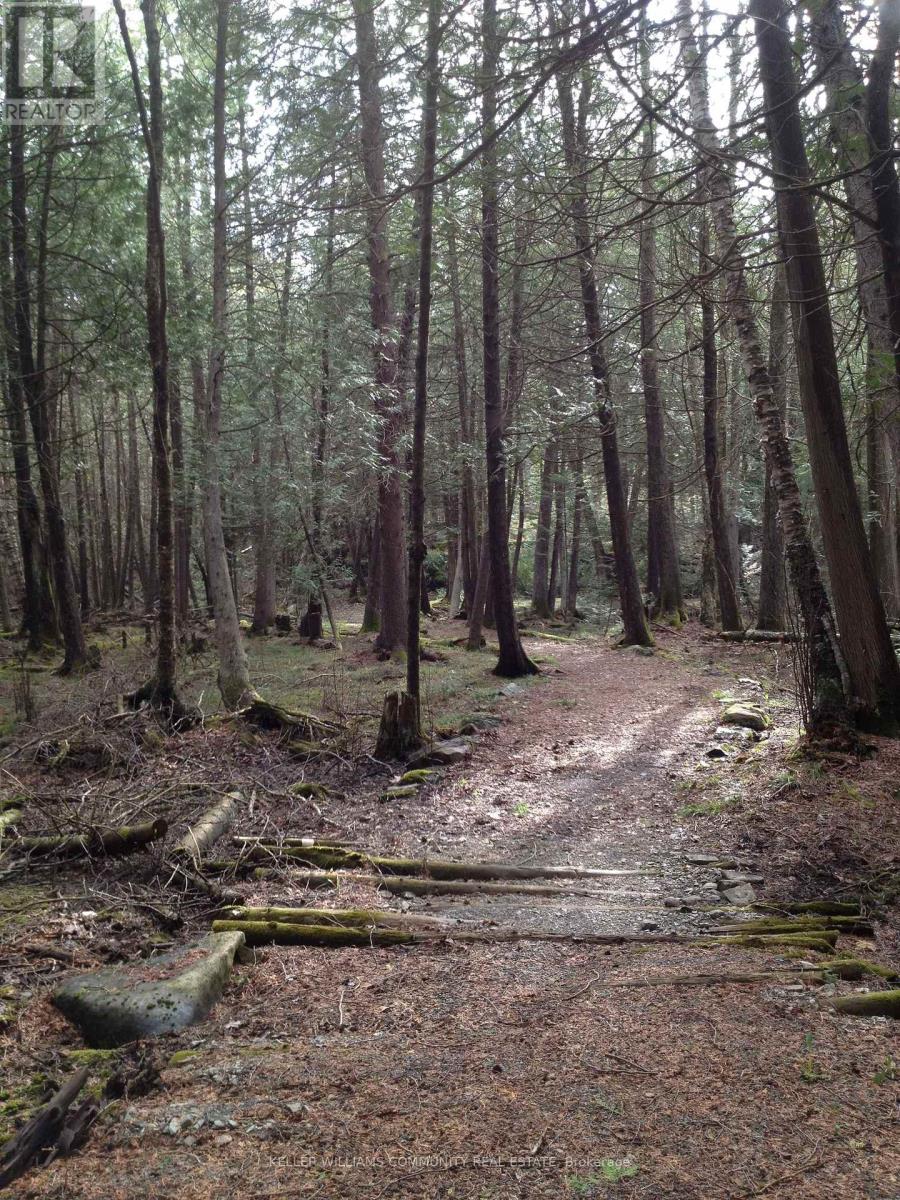 197 Hillside Drive, Kawartha Lakes, Ontario  K0M 1C0 - Photo 40 - X12725626