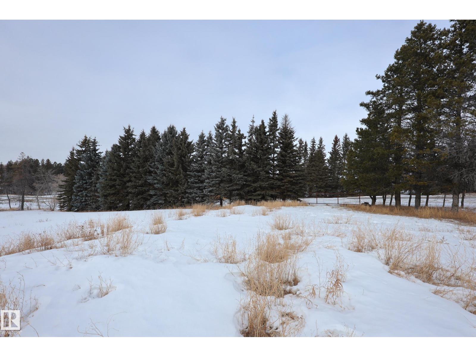 #1 54030 Rge Road 274, Rural Parkland County, Alberta  T7X 3S9 - Photo 10 - E4470911