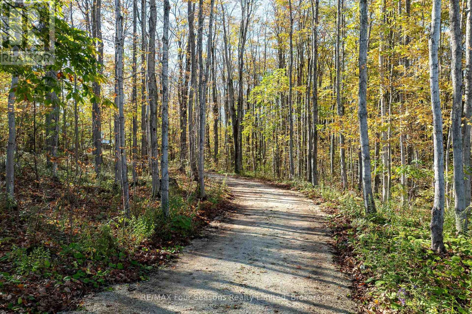 589108 Grey Road 19, Blue Mountains, Ontario  N0H 2E0 - Photo 40 - X12443335