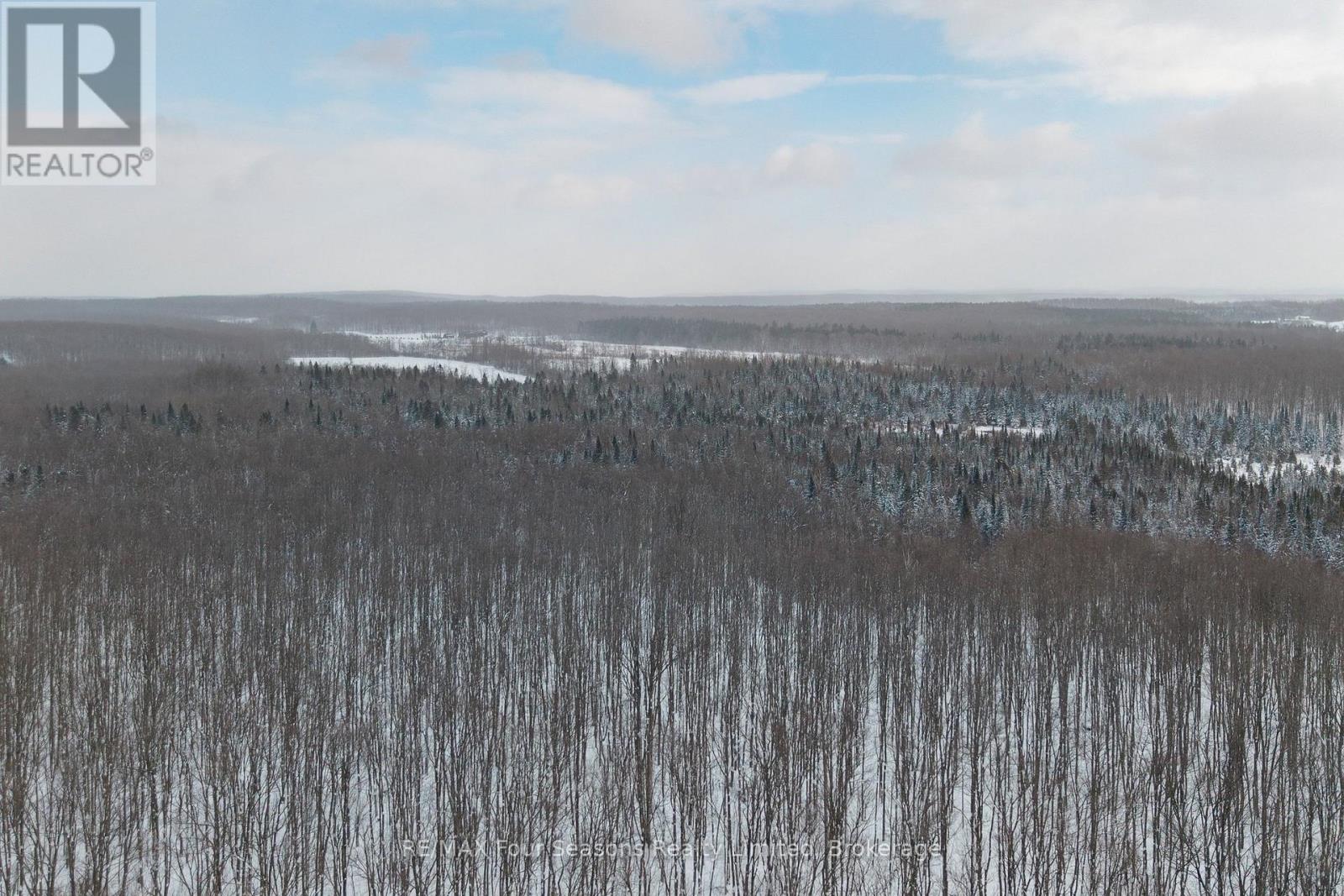 589108 Grey Road 19, Blue Mountains, Ontario  N0H 2E0 - Photo 49 - X12443335