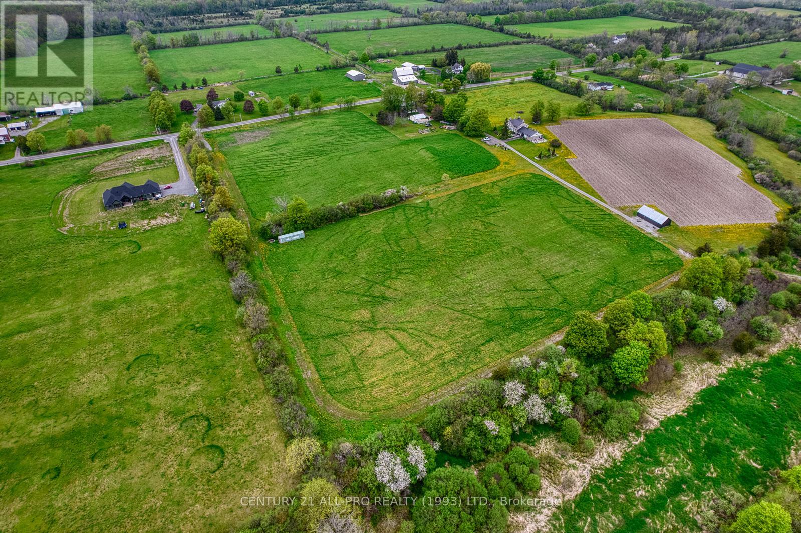 1259 County 19 Road, Prince Edward County, Ontario  K0K 1T0 - Photo 13 - X12153266