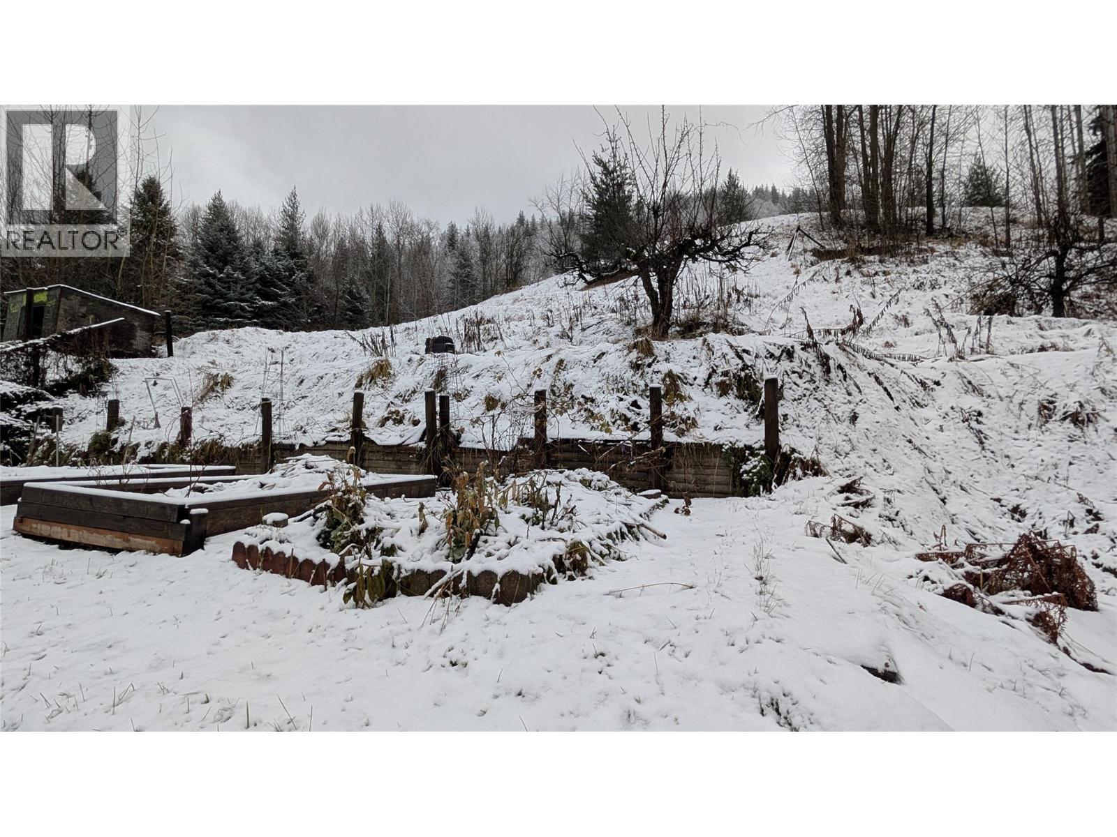 146 Colley Street, Warfield, British Columbia  V1R 2M2 - Photo 8 - 10372236