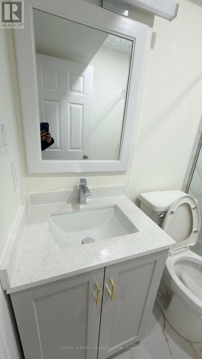 Bsmt - 18 Lighthouse Street, Whitby, Ontario  L1N 9N6 - Photo 19 - E12725668