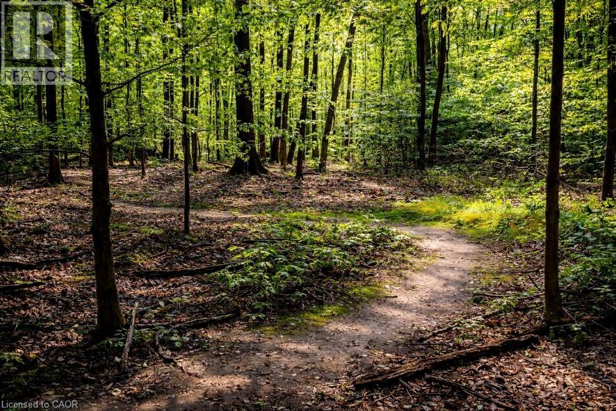 168 Echovalley Drive, Stoney Creek, Ontario  L8J 0H2 - Photo 49 - 40800274