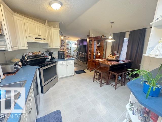 138 Evergreen Dr Nw Nw, Edmonton, Alberta  T5Y 4M2 - Photo 9 - E4470923