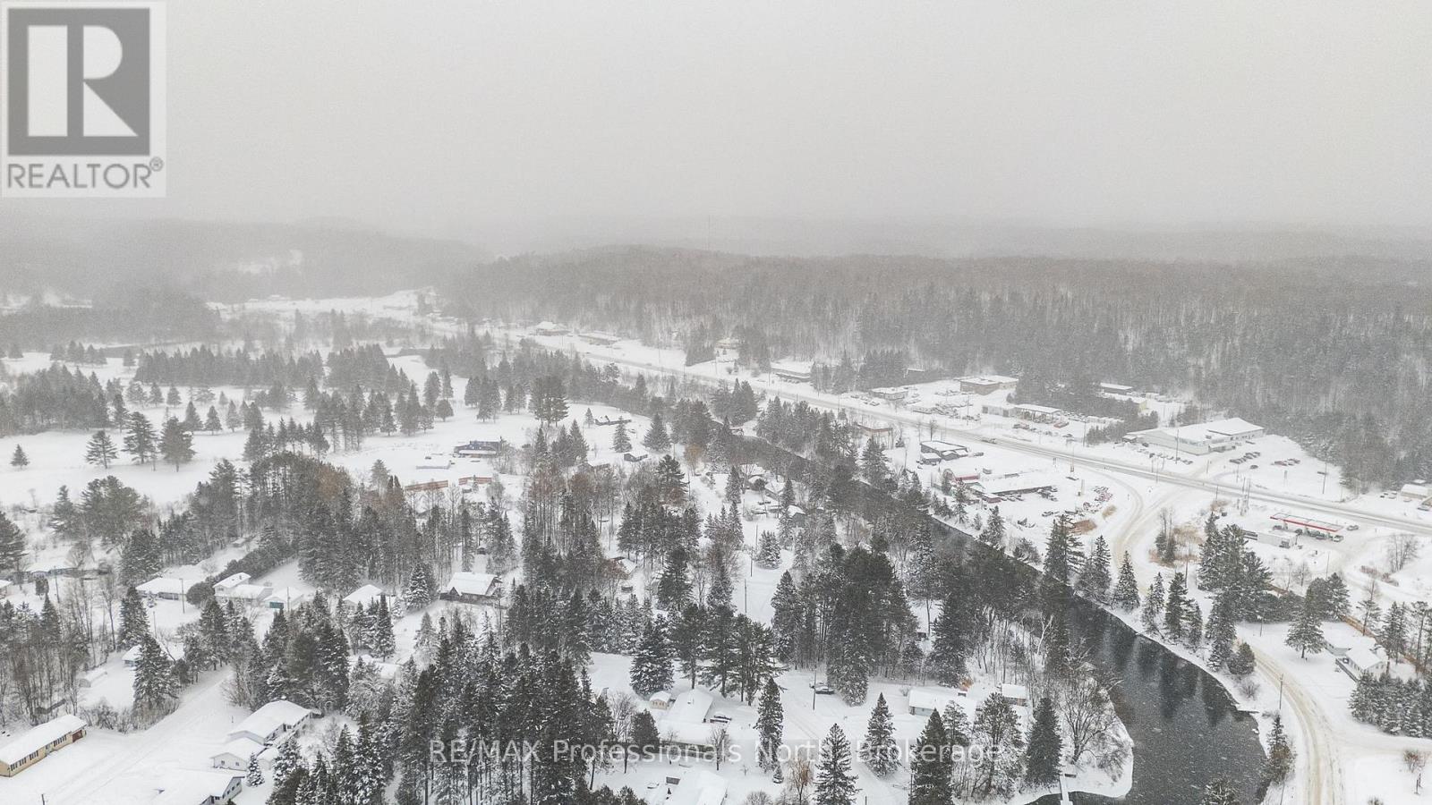 73 Invergordon Avenue, Minden Hills, Ontario  K0M 2K0 - Photo 43 - X12725890