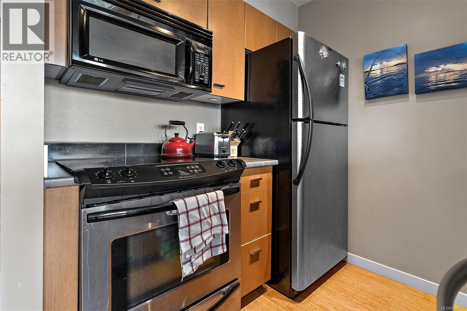 1103 751 Fairfield Rd, Victoria, British Columbia  V8W 4A4 - Photo 8 - 1024123