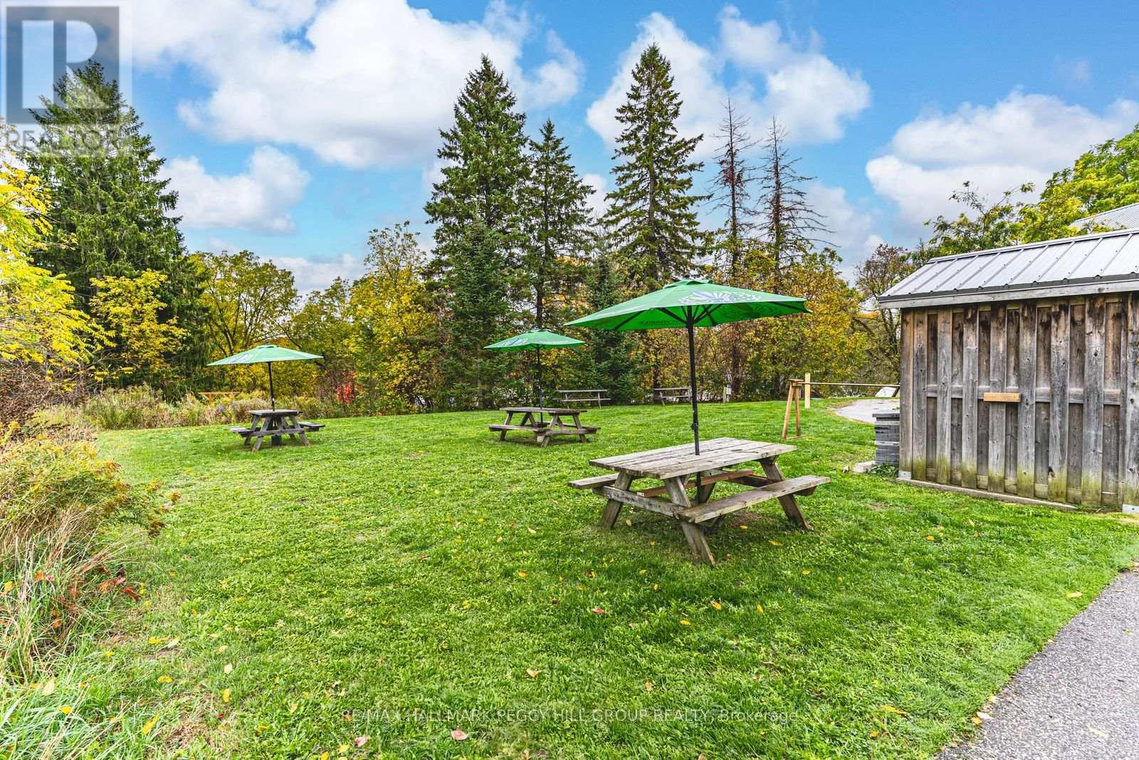 5273 County Road 9, Clearview, Ontario  L0M 1N0 - Photo 36 - S12601416