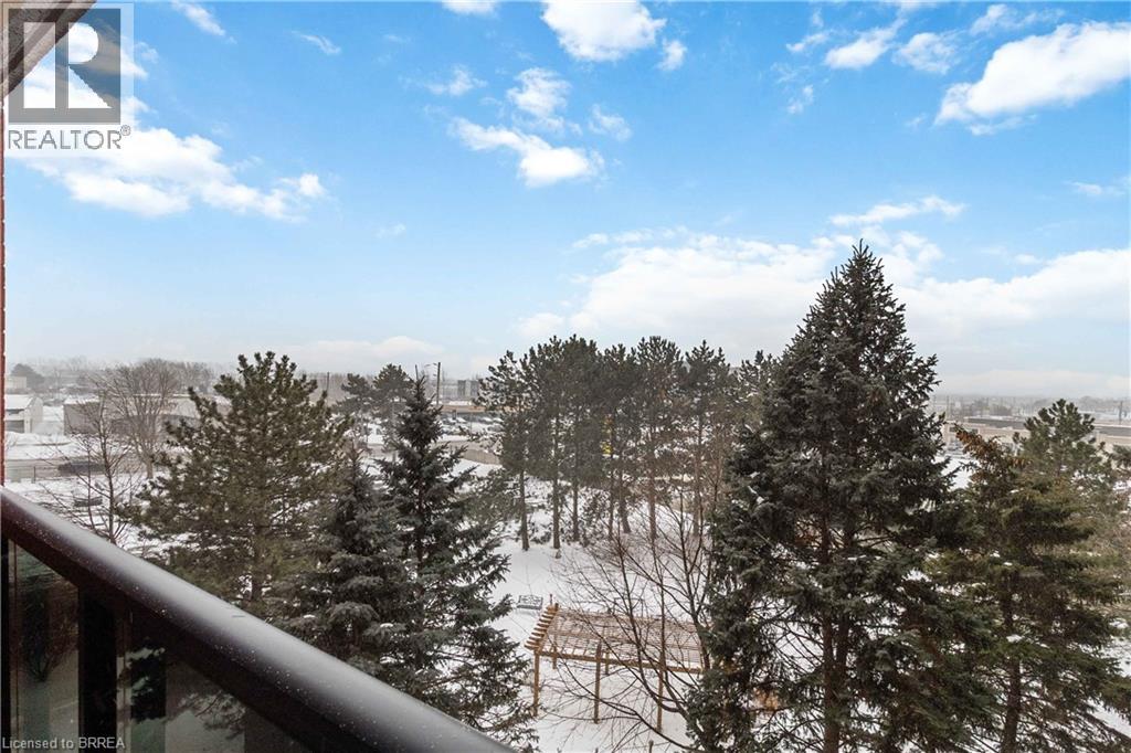 9 Bonheur Court Unit# 506, Brantford, Ontario  N3P 1Z5 - Photo 16 - 40800269