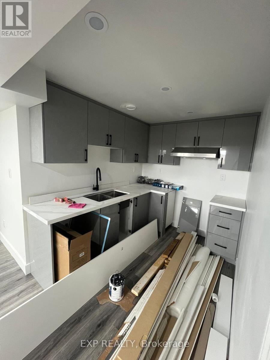 Basement - 3817 Ayrshire Avenue, London South, Ontario  N6P 0J5 - Photo 2 - X12726186