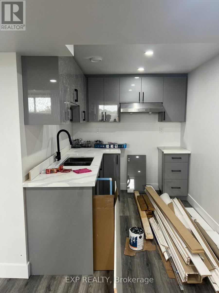 Basement - 3817 Ayrshire Avenue, London South, Ontario  N6P 0J5 - Photo 3 - X12726186