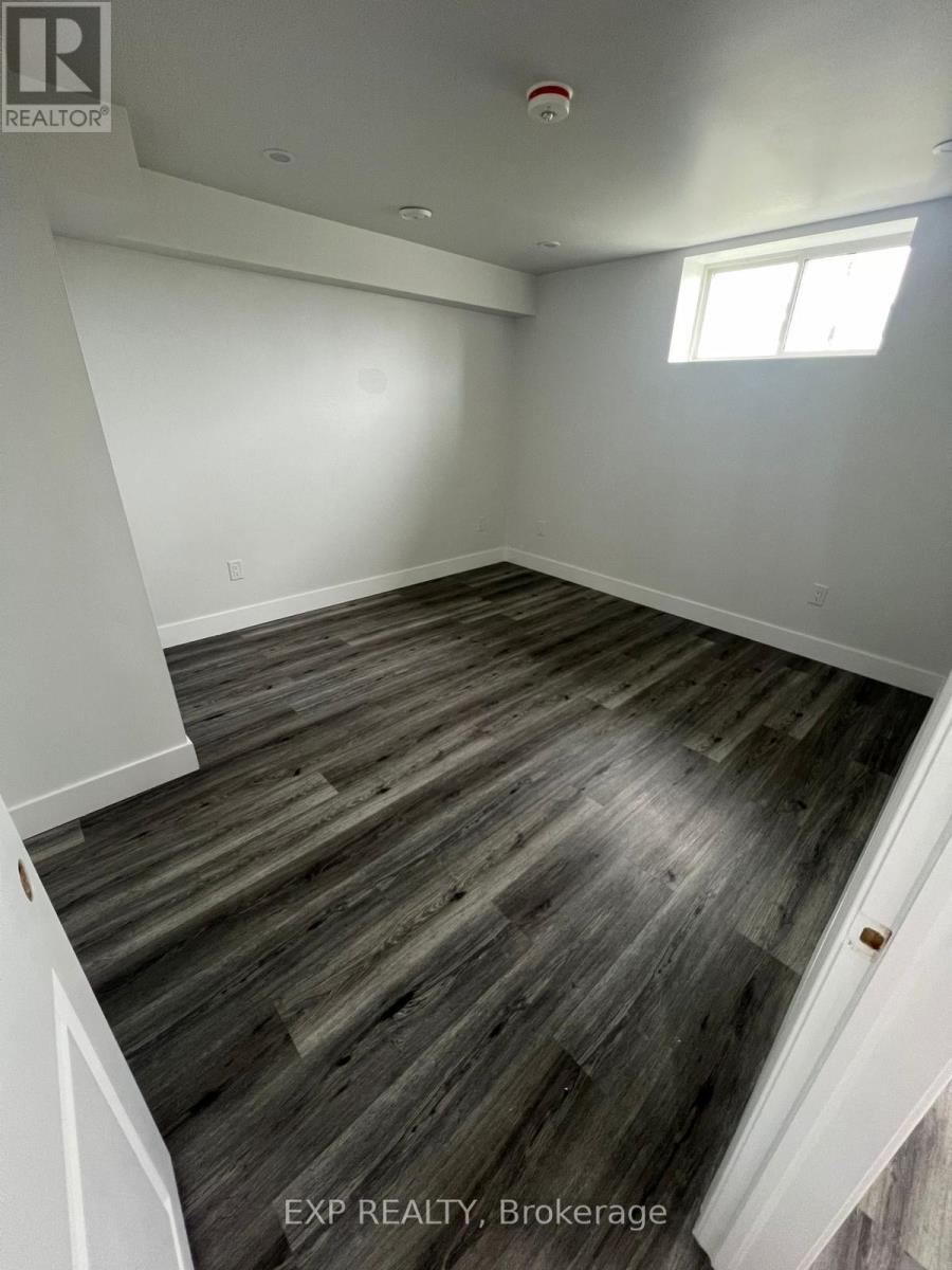 Basement - 3817 Ayrshire Avenue, London South, Ontario  N6P 0J5 - Photo 7 - X12726186