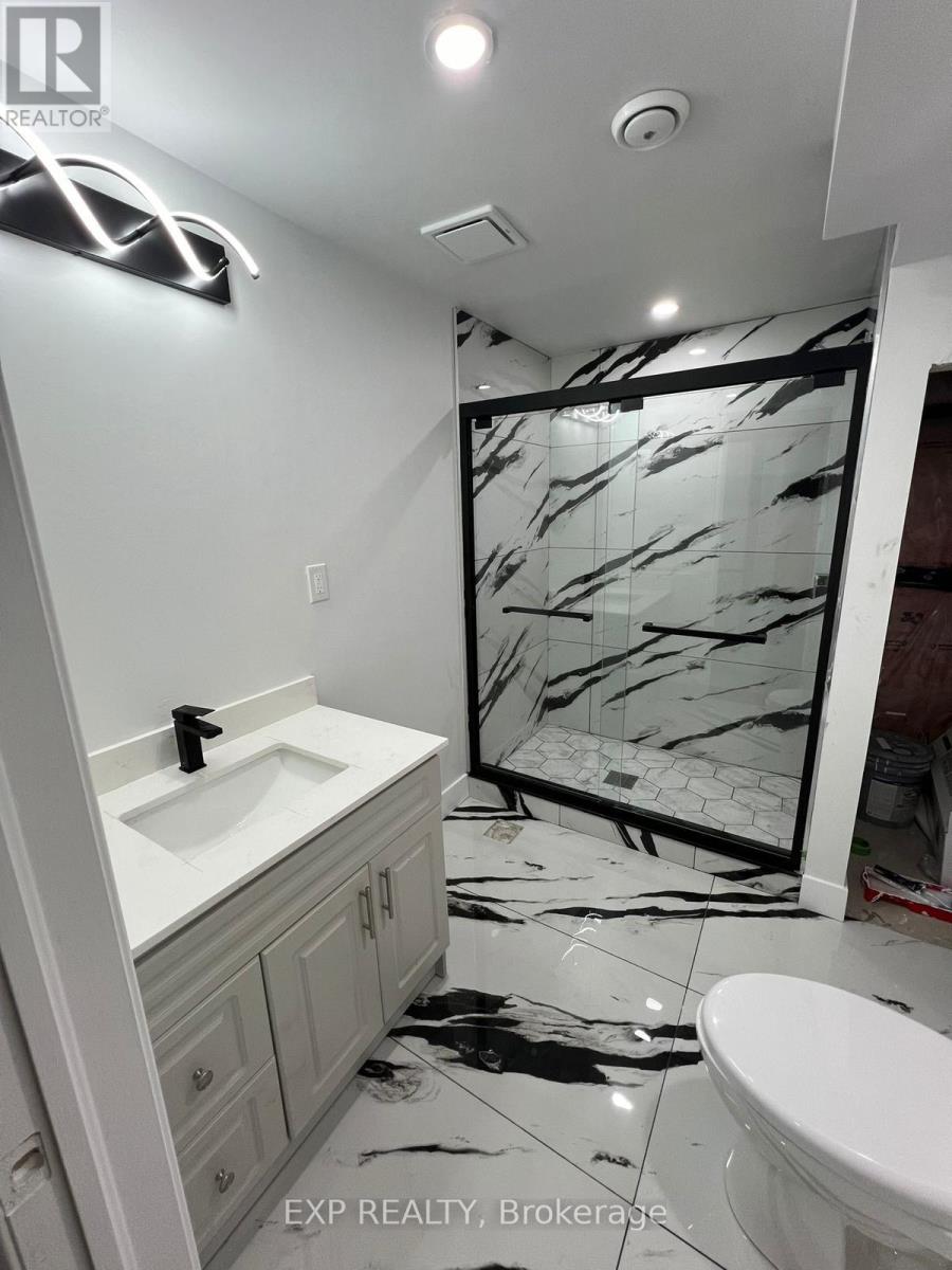 Basement - 3817 Ayrshire Avenue, London South, Ontario  N6P 0J5 - Photo 9 - X12726186