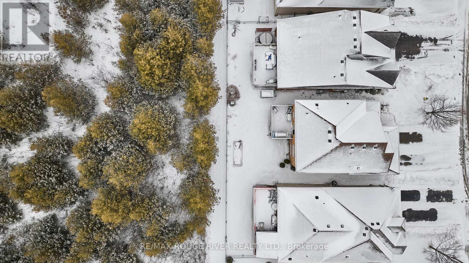 78 Cook Street, Kawartha Lakes, Ontario  K9V 0C7 - Photo 39 - X12694192