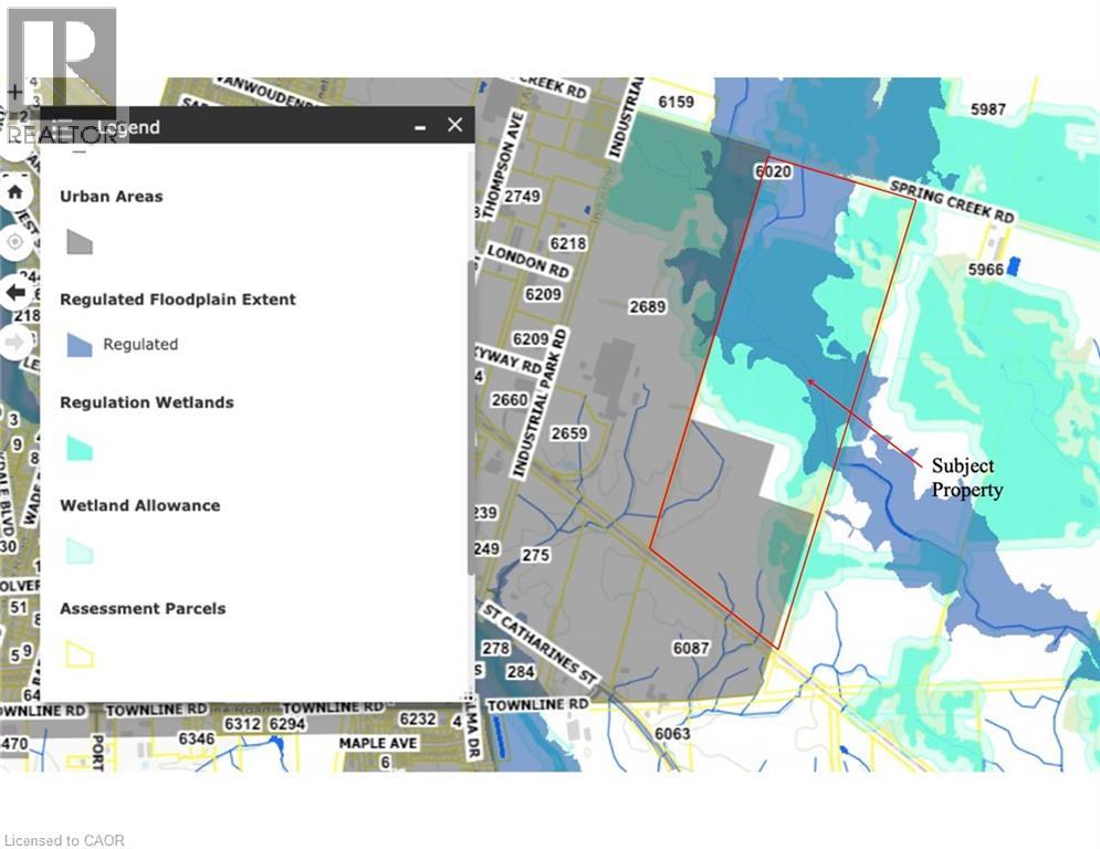 6008 Spring Creek Road, West Lincoln, Ontario  L0R 2A0 - Photo 6 - 40800682