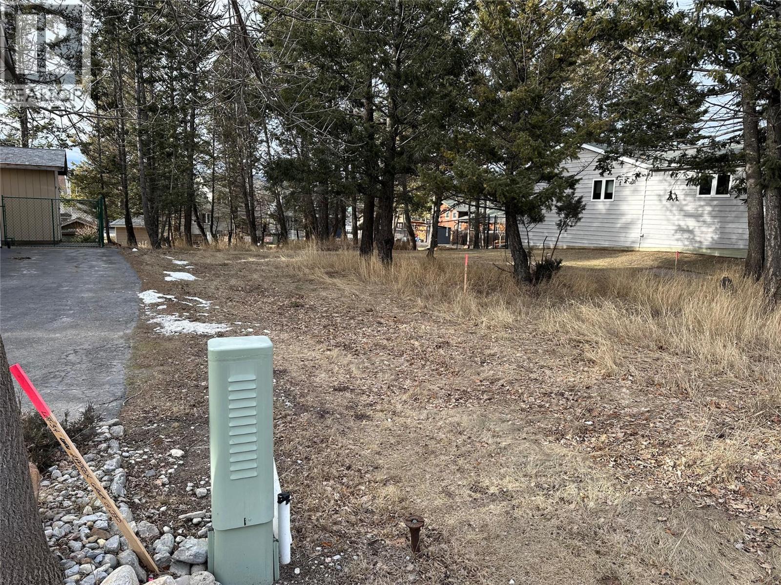 7495 Jackson Avenue, Radium Hot Springs, British Columbia  V0A 1M0 - Photo 3 - 10373781